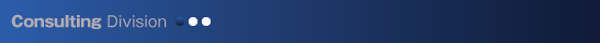 Consulting Division